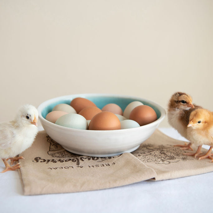 Chicken Hatching Eggs