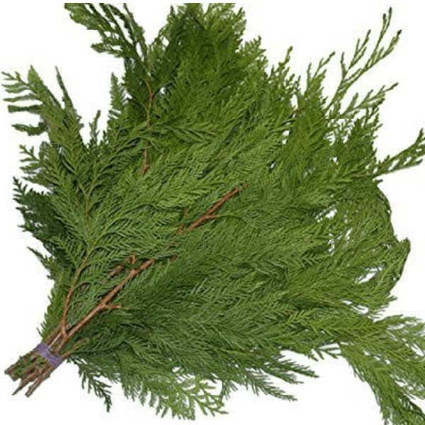 Christmas Greens Bundles