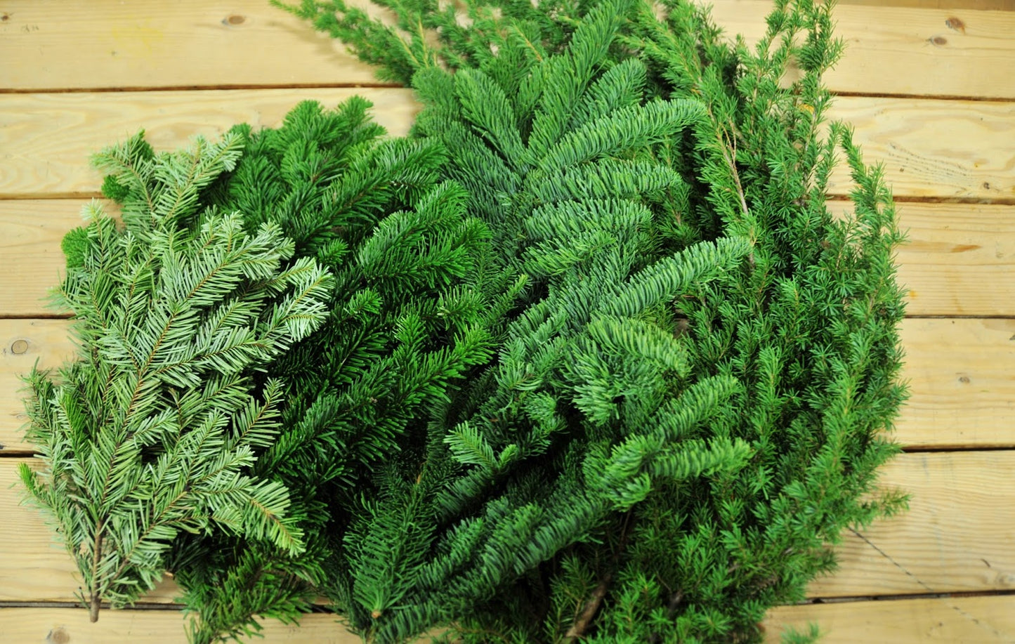 Christmas Greens Bundles
