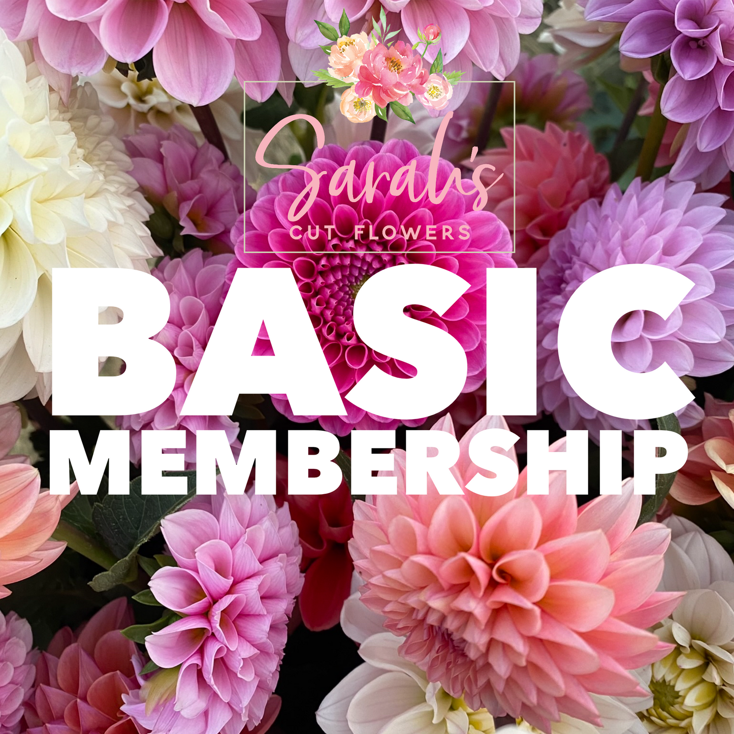 Sarah's Cut Flowers Membership