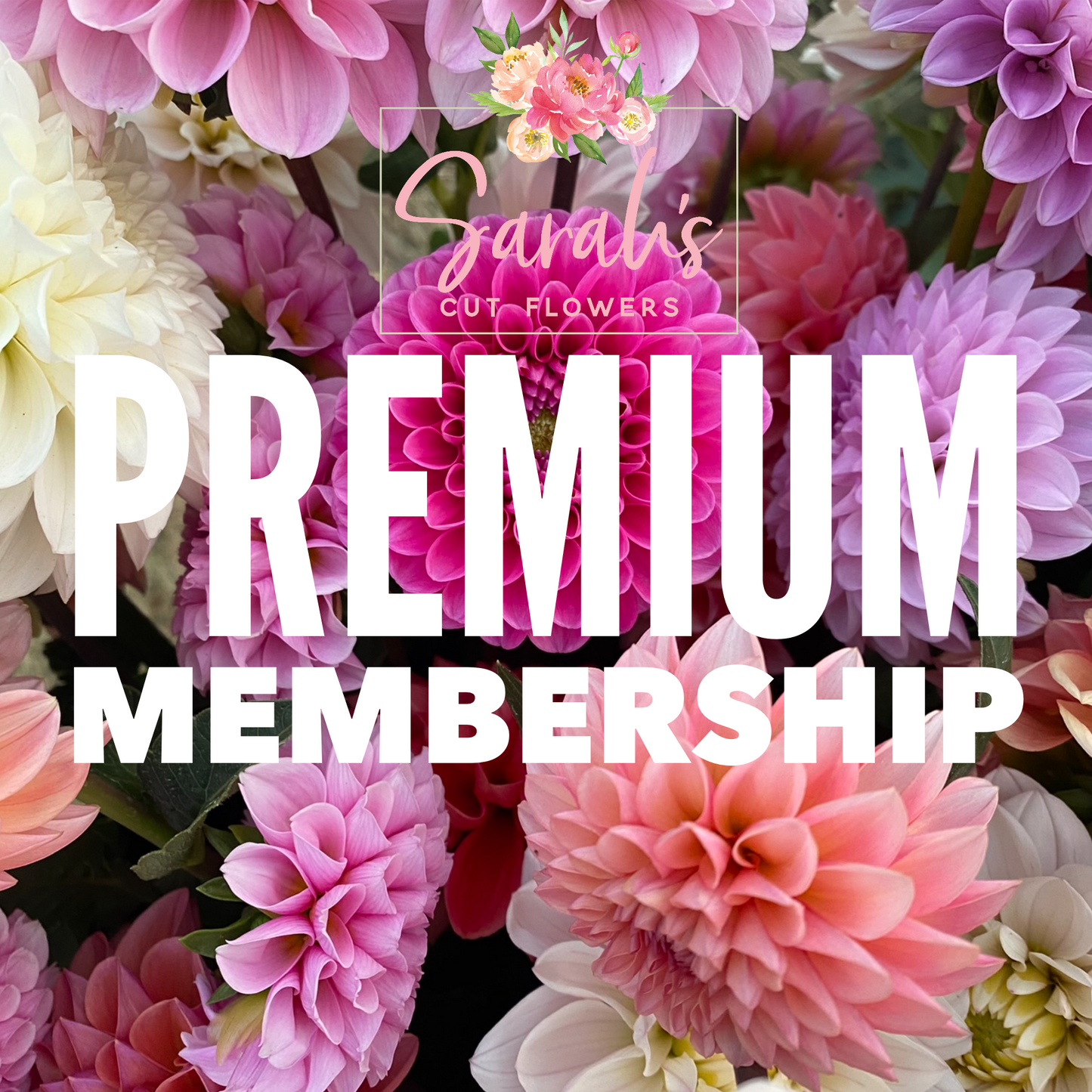 Sarah's Cut Flowers Membership