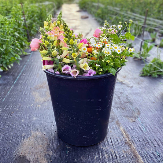 Farmer’s Mixed Bucket