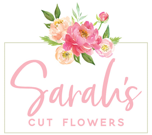 Sarah's Cut Flowers