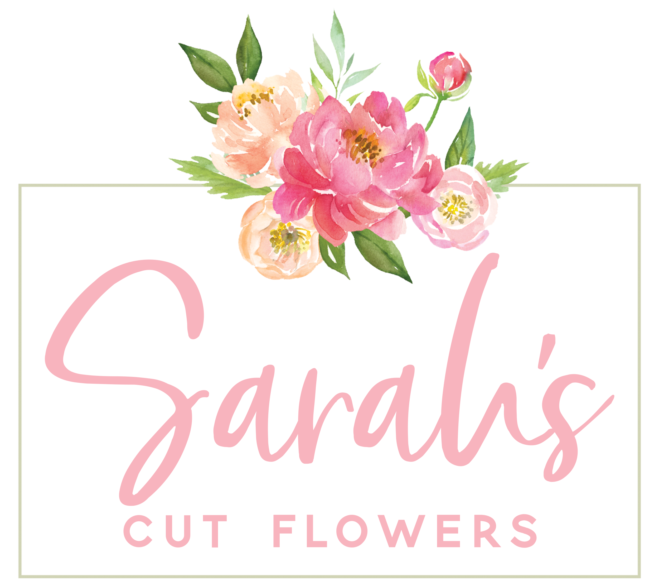 Sarah's Cut Flowers, fresh cut flowers in Wheatland County and Strathmore Alberta