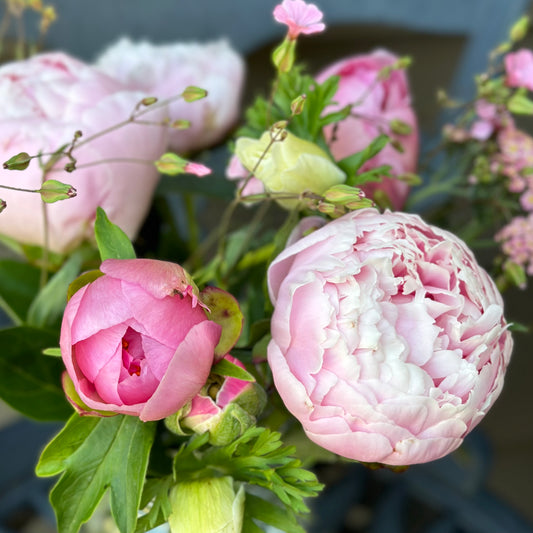 Mixed Peony Bouquet