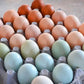 Fresh Eggs