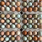 Fresh Eggs