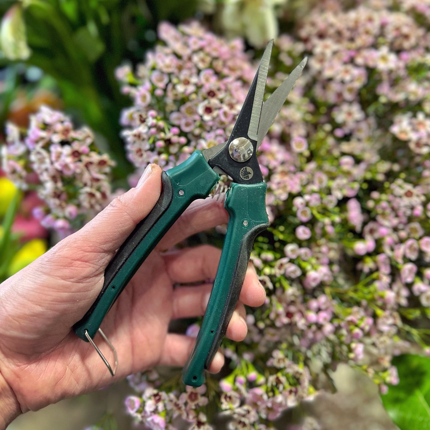 Garden Shears