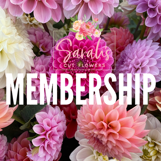 Sarah's Cut Flowers Membership