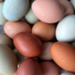 Fresh Eggs